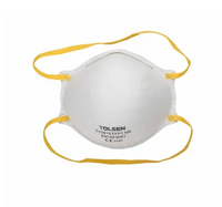 Dust Mask Set 3pc With Ear Loop