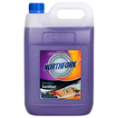 Northfork  Food Surface Sanitiser 5L