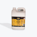 Research Citron Dishwashing and All Purpose Detergent 5L | Oates